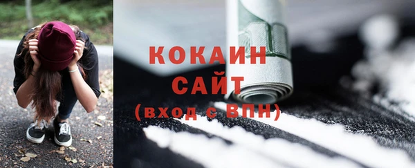 МДПВ Абаза
