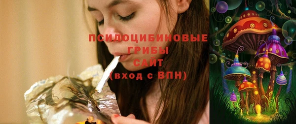 МДПВ Абаза