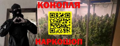 jwh Кимры