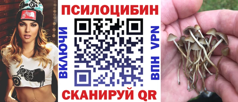 это Telegram  Лесозаводск  Галлюциногенные грибы прущие грибы 