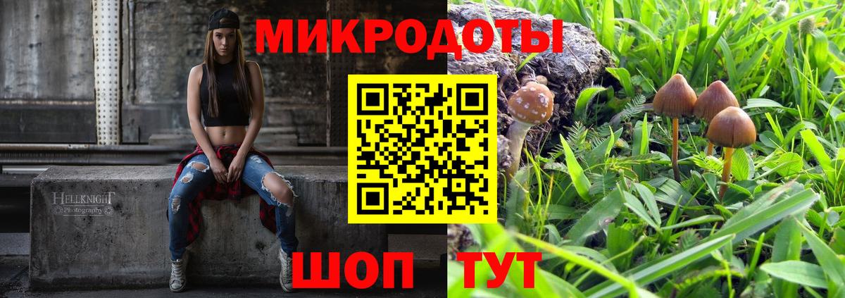 Лесозаводск  Галлюциногенные грибы Psilocybine cubensis  Вход с VPN 